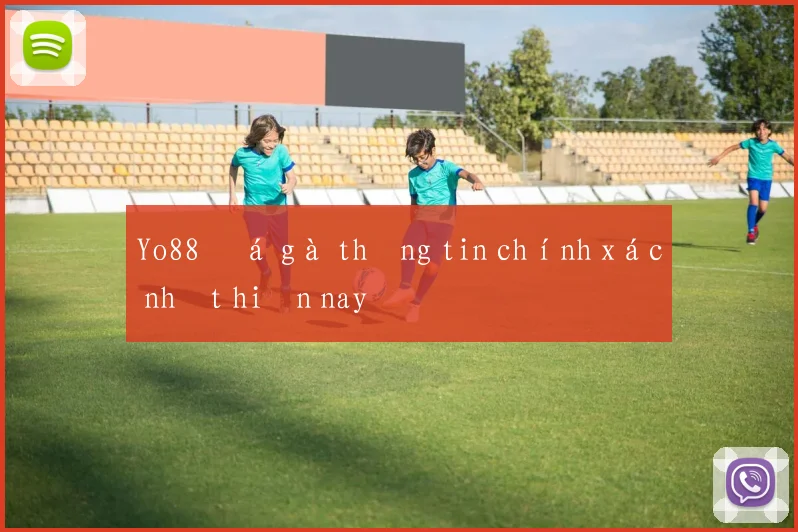 Yo88 đá gà thông tin chính xác nhất hiện nay