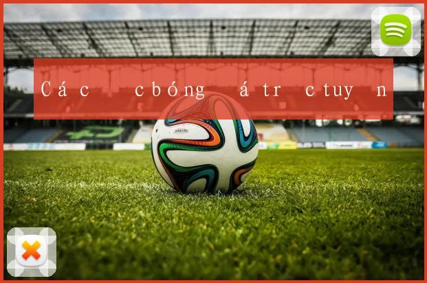 Cá cược bóng đá trực tuyến