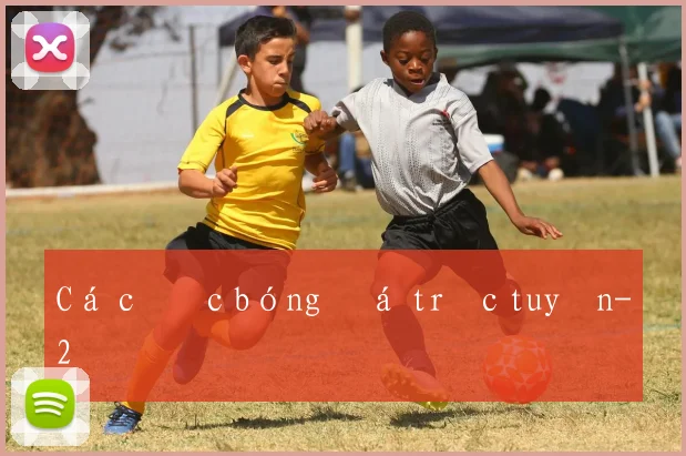 Cá cược bóng đá trực tuyến